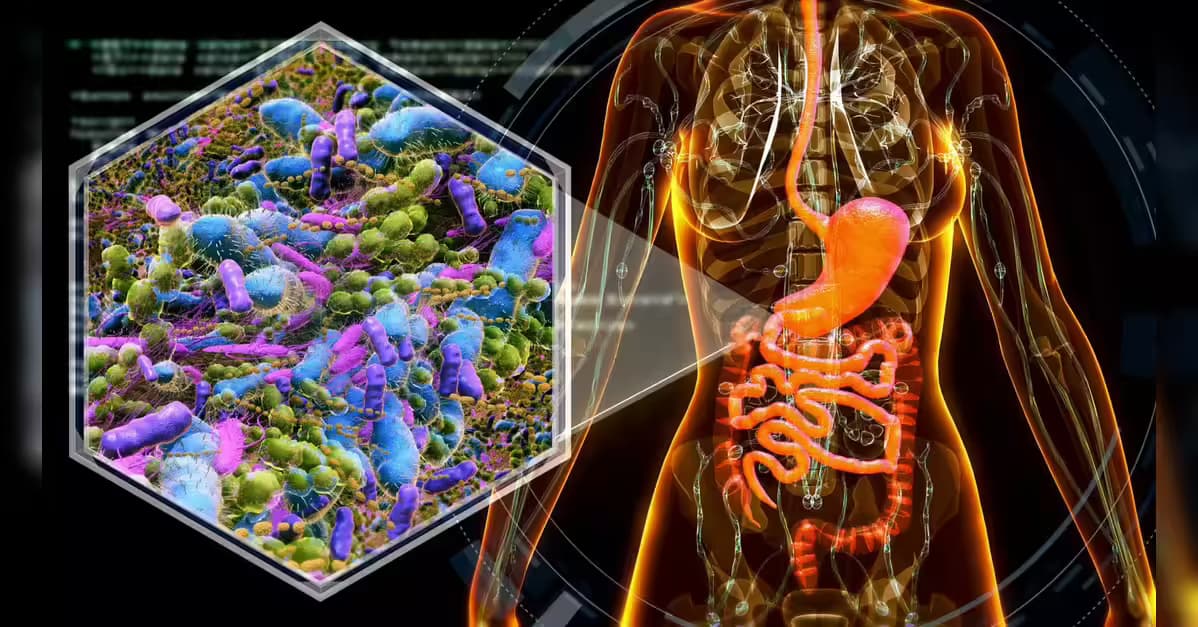 gut bacterial