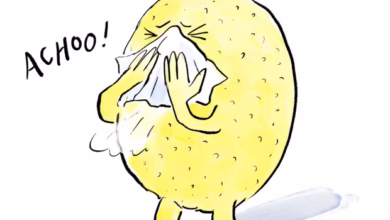 تصویر‌سازی از بکی بارنیکوت (Becky Barnicoat)/ روزنامه گاردین