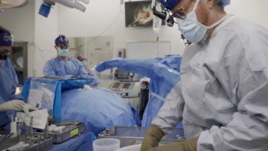 جراح رابرت مونتگومری در حال آماده‌سازی کلیه خوک برای پیوند به یک مرد در نیویورک است. عکس از شلبی لام (Shelby Lum) / خبرگزاری آسوشیتدپرس