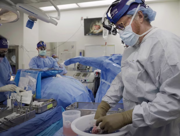 جراح رابرت مونتگومری در حال آماده‌سازی کلیه خوک برای پیوند به یک مرد در نیویورک است. عکس از شلبی لام (Shelby Lum) / خبرگزاری آسوشیتدپرس