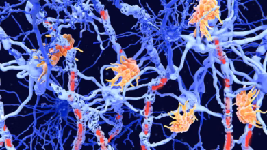 کارشناسان امیدوارند این نتایج به پزشکان کمک کند تا بفهمند کدام بیماران در معرض خطر بیشتر عوارض هستند. عکس از (Juan Gaertner)/ (Science Photo Library RF)